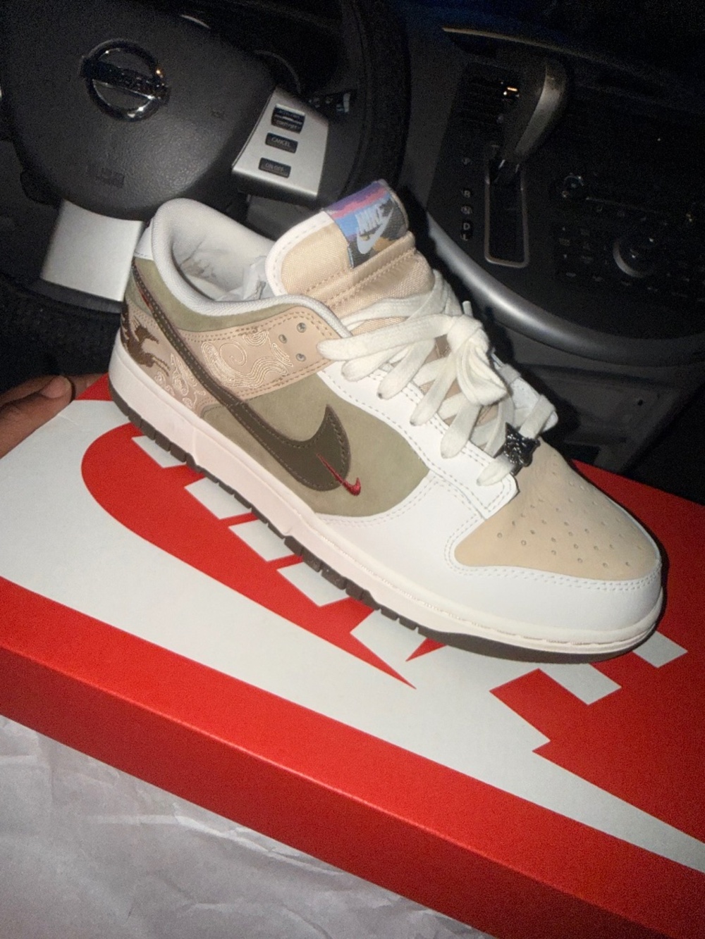Special Edition Nike Dunks